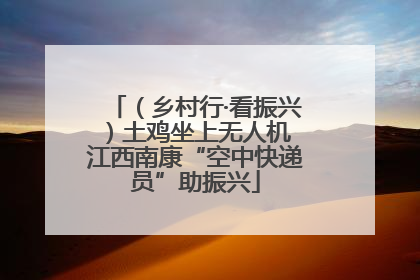 （乡村行·看振兴）土鸡坐上无人机 江西南康“空中快递员”助振兴