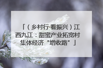 （乡村行·看振兴）江西九江：甜蜜产业拓宽村集体经济“增收路”