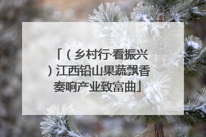 （乡村行·看振兴）江西铅山果蔬飘香 奏响产业致富曲