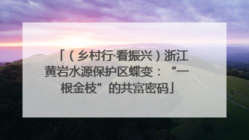 （乡村行·看振兴）浙江黄岩水源保护区蝶变：“一根金枝”的共富密码