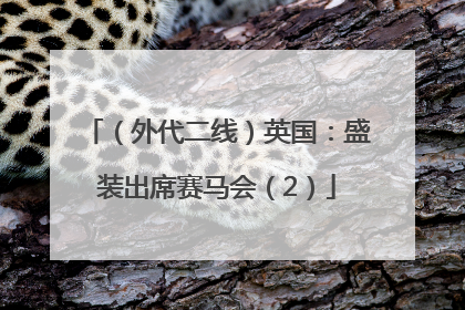 （外代二线）英国：盛装出席赛马会（2）