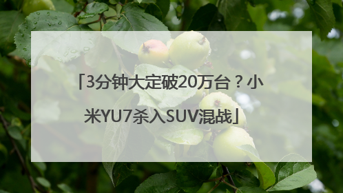 3分钟大定破20万台？小米YU7杀入SUV混战