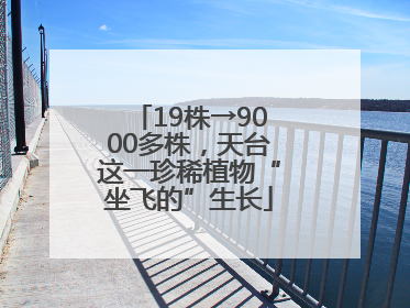 19株→9000多株，天台这一珍稀植物“坐飞的”生长