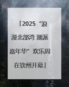 2025“浪漫北部湾 潮派嘉年华”欢乐周在钦州开幕