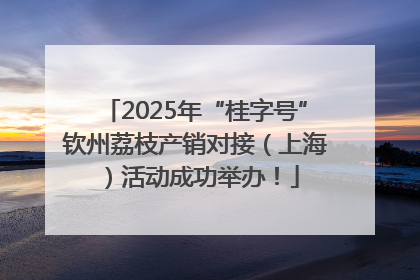2025年“桂字号”钦州荔枝产销对接（上海）活动成功举办！