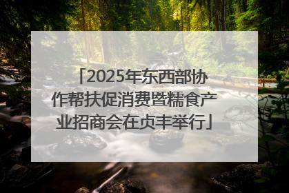 2025年东西部协作帮扶促消费暨糯食产业招商会在贞丰举行