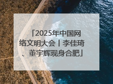 2025年中国网络文明大会丨李佳琦、董宇辉现身合肥