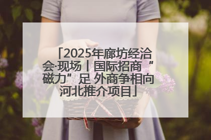 2025年廊坊经洽会·现场丨国际招商“磁力”足 外商争相向河北推介项目