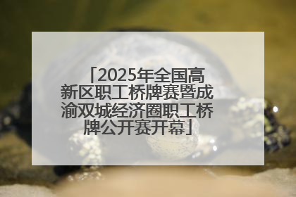 2025年全国高新区职工桥牌赛暨成渝双城经济圈职工桥牌公开赛开幕