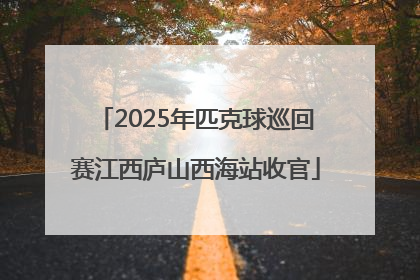 2025年匹克球巡回赛江西庐山西海站收官