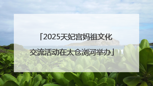 2025天妃宫妈祖文化交流活动在太仓浏河举办