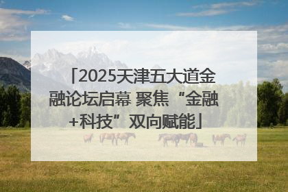 2025天津五大道金融论坛启幕 聚焦“金融+科技”双向赋能