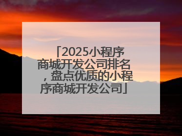 2025小程序商城开发公司排名，盘点优质的小程序商城开发公司