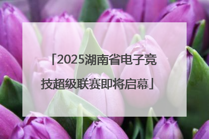 2025湖南省电子竞技超级联赛即将启幕