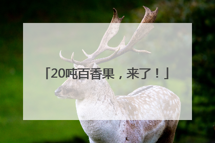 20吨百香果，来了！