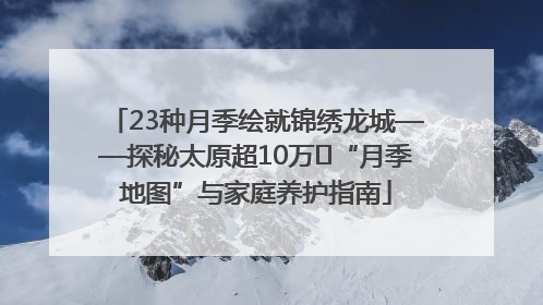 23种月季绘就锦绣龙城——探秘太原超10万㎡“月季地图”与家庭养护指南