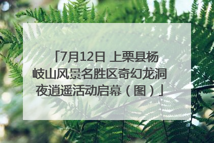 7月12日 上栗县杨岐山风景名胜区奇幻龙洞夜逍遥活动启幕（图）