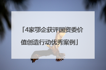 4家鄂企获评国资委价值创造行动优秀案例