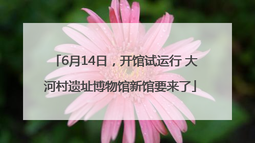 6月14日，开馆试运行 大河村遗址博物馆新馆要来了