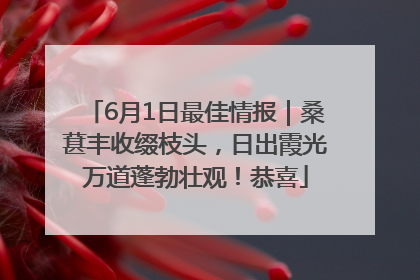 6月1日最佳情报｜桑葚丰收缀枝头，日出霞光万道蓬勃壮观！恭喜