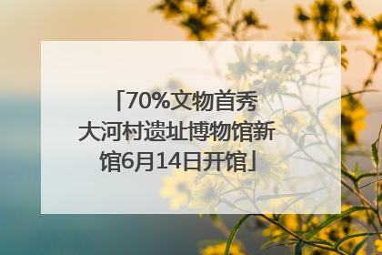 70%文物首秀 大河村遗址博物馆新馆6月14日开馆