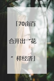 70亩百合开出“花”样经济