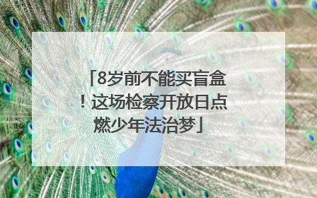 8岁前不能买盲盒！这场检察开放日点燃少年法治梦