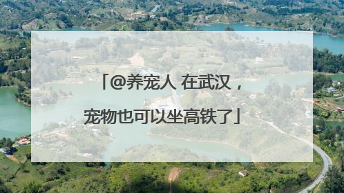 @养宠人 在武汉，宠物也可以坐高铁了