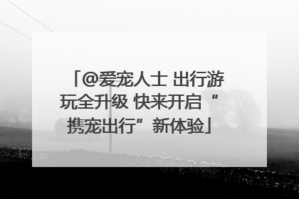 @爱宠人士 出行游玩全升级 快来开启“携宠出行”新体验