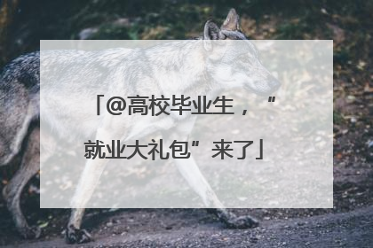 @高校毕业生，“就业大礼包”来了