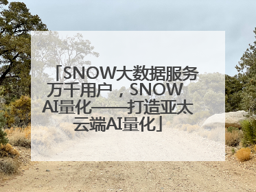 SNOW大数据服务万千用户，SNOW AI量化——打造亚太云端AI量化